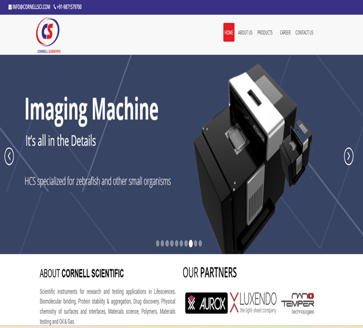 portfolio